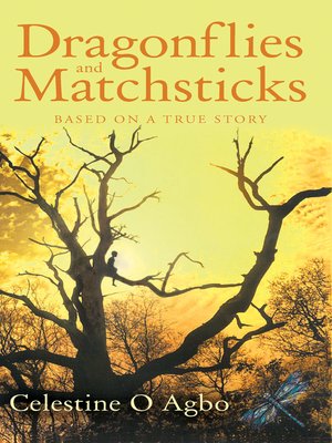cover image of Dragonflies and Matchsticks